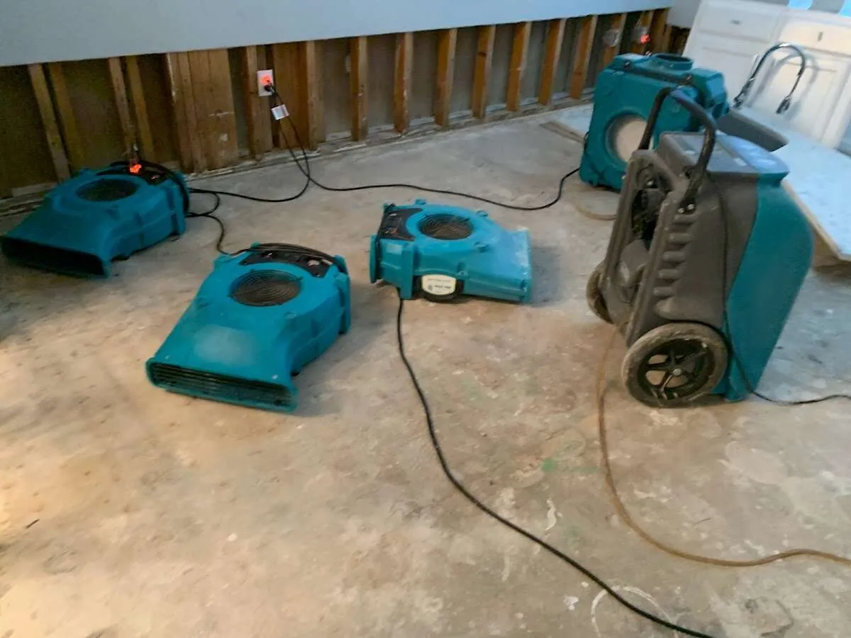 Water Damage Restoration services in Lely Resort, FL